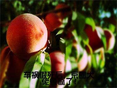 车祸假死后，京圈大佬悔疯了！（沈棠溪霍韶霆）全文免费阅读无弹窗大结局_车祸假死后，京圈大佬悔疯了！免费阅读全文大结局