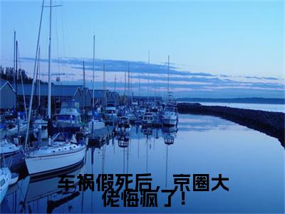 车祸假死后，京圈大佬悔疯了！沈棠溪霍韶霆精彩章节-车祸假死后，京圈大佬悔疯了！沈棠溪霍韶霆完整版阅读