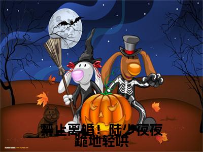 禁止离婚！陆少夜夜跪地轻哄小说（陆泽乔熏）全文免费阅读无弹窗大结局_（陆泽乔熏免费阅读）最新章节列表_笔趣阁（陆泽乔熏）