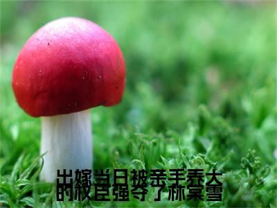 林棠雪（出嫁当日被亲手养大的权臣强夺了林棠雪）全文免费阅读无弹窗大结局_林棠雪小说最新章节列表_笔趣阁
