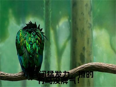 （热推新书）《小自闭猛发力，撩的竹马没脾气！》全文免费阅读无弹窗大结局-余多贺图南无弹窗阅读