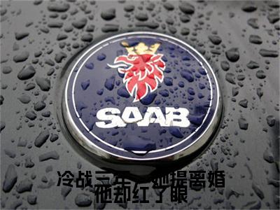 冷战三年，她提离婚他却红了眼全文免费阅读无弹窗大结局，黎浅顾庭琛小说最新章节