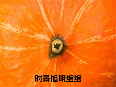 主角是明绾绾时景旭的小说叫什么名字时景旭明绾绾-完结版小说明绾绾时景旭