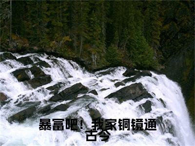 （千卿尘）是什么小说-（暴富吧！我家铜镜通古今）全文免费阅读无弹窗大结局（千卿尘）最新章节列表