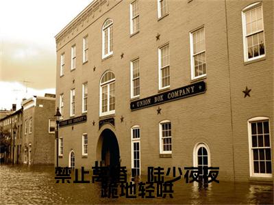 禁止离婚！陆少夜夜跪地轻哄（陆泽乔熏）全文免费阅读无弹窗大结局_禁止离婚！陆少夜夜跪地轻哄最新章节列表_笔趣阁（陆泽乔熏）