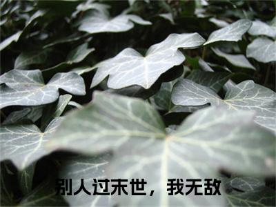 唐泽别人过末世，我无敌小说全文无广告阅读-唐泽小说赏析别人过末世，我无敌