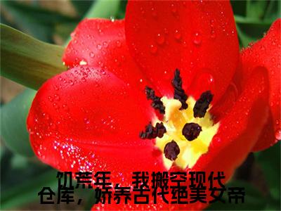 陈平全文免费阅读_（饥荒年，我搬空现代仓库，娇养古代绝美女帝免费阅读无弹窗）陈平最新章节列表笔趣阁
