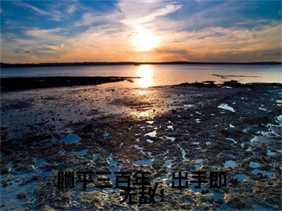 躺平三百年，出手即无敌！（陈长安）免费小说-主角陈长安全文在线完本阅读笔趣阁