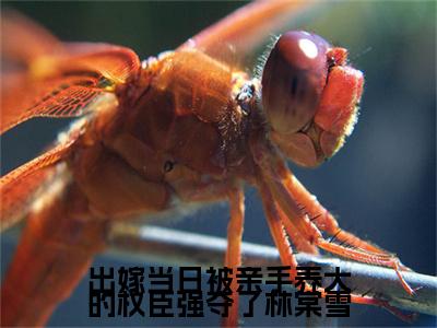 出嫁当日被亲手养大的权臣强夺了林棠雪全集完整版大结局-林棠雪小说在线赏析