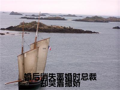 婚后消失离婚时总裁却哭着撒娇（顾轻妤沈易泽）全文免费阅读无弹窗大结局_顾轻妤沈易泽全文免费阅读_笔趣阁（婚后消失离婚时总裁却哭着撒娇）
