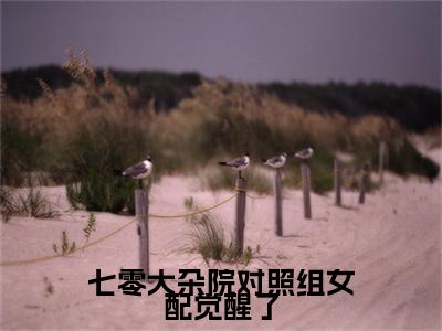 七零大杂院对照组女配觉醒了（楚眠沈长安）全文免费阅读无弹窗大结局_楚眠沈长安最新章节列表