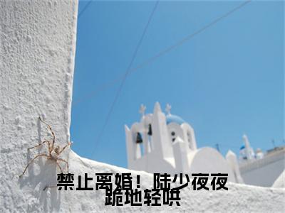 禁止离婚！陆少夜夜跪地轻哄免费阅读无弹窗最新章节列表-（陆泽乔熏）全文免费阅读大结局笔趣阁（陆泽乔熏）