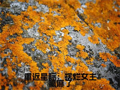 苏向晚（重返星际：摆烂女主赢麻了）全文免费阅读无弹窗_苏向晚最新小说_笔趣阁（重返星际：摆烂女主赢麻了）