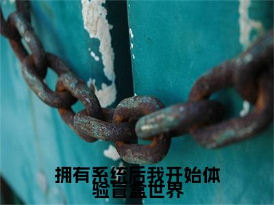小说拥有系统后我开始体验盲盒世界（云溪云熙小说免费阅读）完结阅读_拥有系统后我开始体验盲盒世界全文免费阅读最新章节大结局