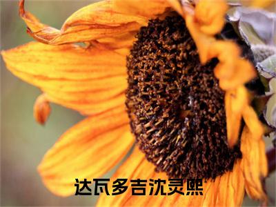 达瓦多吉沈灵熙全集免费阅读无弹窗_沈灵熙达瓦多吉完结小说榜单阅读（沈灵熙达瓦多吉小说）