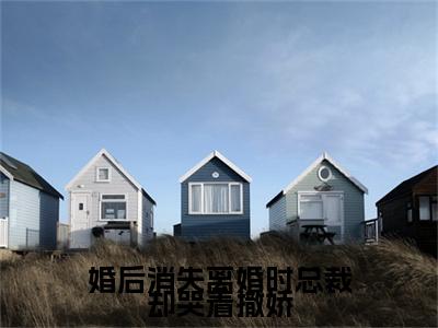 顾轻妤沈易泽（婚后消失离婚时总裁却哭着撒娇）全文免费阅读无弹窗大结局_婚后消失离婚时总裁却哭着撒娇全文阅读_笔趣阁（顾轻妤沈易泽）