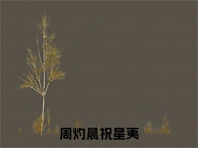 祝星夷周灼晨是什么小说周灼晨祝星夷正版小说免费阅读_笔趣阁