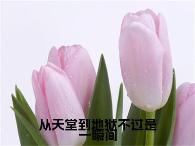 （从天堂到地狱不过是一瞬间）纪鸣贺念娇新书热荐免费小说-纪鸣贺念娇小说全文完整版阅读