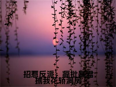 招惹反派，疯批暴君掳我花轿洞房（姬慎林立夏）全文免费阅读_招惹反派，疯批暴君掳我花轿洞房小说最新章节列表笔趣阁