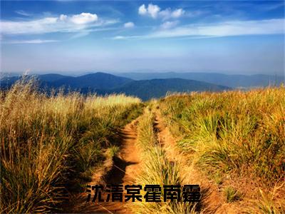沈清棠霍南霆（沈清棠霍南霆全章节完整版）免费阅读_沈清棠霍南霆（沈清棠霍南霆）最新章节列表笔趣阁