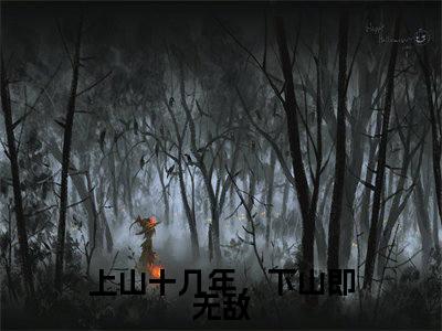 陆风小说全文免费阅读_上山十几年，下山即无敌（陆风）最新章节列表笔趣阁