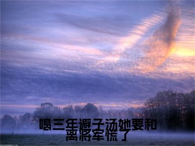 苏玉娇陆子谦小说在线阅读（喝三年避子汤她要和离将军慌了）全文免费阅读无弹窗大结局
