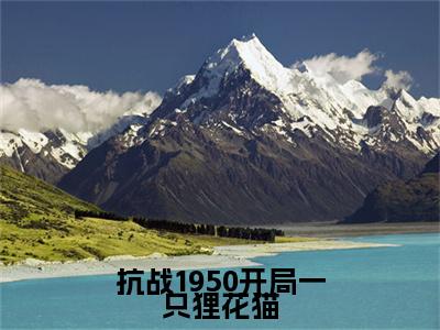 李诺一小说（抗战1950开局一只狸花猫）免费阅读-抗战1950开局一只狸花猫（李诺一）全章节最新阅读