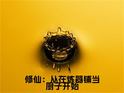 人气小说修仙：从在炼器铺当厨子开始在线阅读-正版小说《修仙：从在炼器铺当厨子开始》陆羽全文阅读
