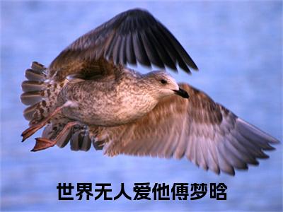 世界无人爱他傅梦晗小说（沈绍钧傅梦晗）全文免费阅读无弹窗大结局_（世界无人爱他傅梦晗）沈绍钧傅梦晗小说最新章节列表