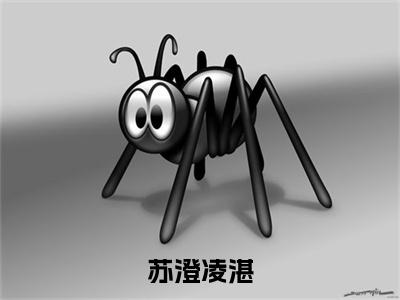 凌湛苏澄小说（苏澄凌湛）全文免费阅读无弹窗大结局_凌湛苏澄小说最新章节列表