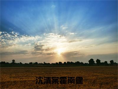沈清棠霍南霆（沈清棠霍南霆）全文免费阅读最新章节大结局_沈清棠霍南霆最新章节列表_笔趣阁
