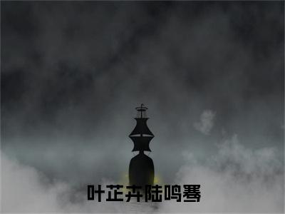 小说叶芷卉陆鸣骞（陆鸣骞叶芷卉全文免费阅读）完结阅读_陆鸣骞叶芷卉全文免费阅读免费看全文