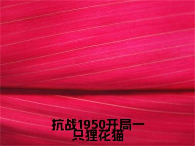 抗战1950开局一只狸花猫在线阅读（李诺一）全文免费阅读无弹窗大结局_（抗战1950开局一只狸花猫全文免费阅读）最新章节列表
