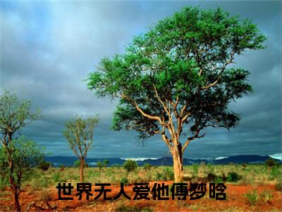 沈绍钧傅梦晗（世界无人爱他傅梦晗）全文免费阅读无弹窗大结局_世界无人爱他傅梦晗最新章节列表_笔趣阁（沈绍钧傅梦晗）