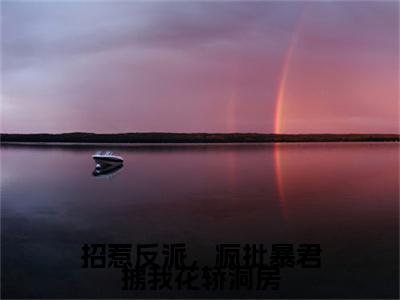 招惹反派，疯批暴君掳我花轿洞房（姬慎林立夏）全文免费阅读无弹窗大结局_招惹反派，疯批暴君掳我花轿洞房最新章节列表
