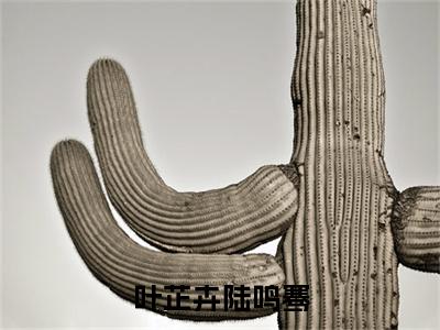叶芷卉陆鸣骞（陆鸣骞叶芷卉）全文免费阅读无弹窗大结局_叶芷卉陆鸣骞最新章节列表_笔趣阁（免费+番外）