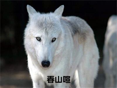 春山喧（凌野温晚凝）免费阅读-小说（春山喧）凌野温晚凝全文阅读