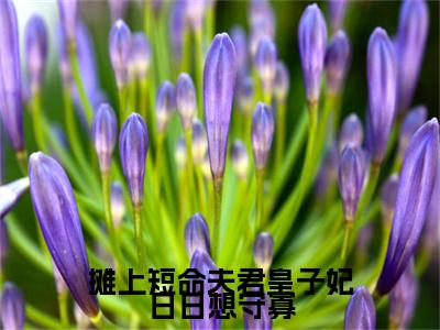 木蓠儿风文玥（摊上短命夫君皇子妃日日想守寡）在哪免费看-木蓠儿风文玥小说（摊上短命夫君皇子妃日日想守寡）全文完整版免费阅读