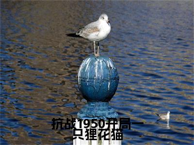 李诺一小说全文-抗战1950开局一只狸花猫小说免费阅读大结局