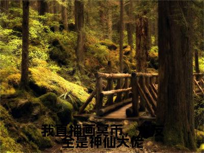 我直播画冥币，水友全是神仙大佬小说全文（叶雨）全文免费阅读无弹窗大结局_我直播画冥币，水友全是神仙大佬小说全文最新章节列表
