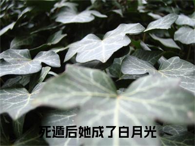 傅纪淮宋迦凝全文免费阅读无弹窗大结局_（死遁后她成了白月光小说）傅纪淮宋迦凝最新章节列表笔趣阁（死遁后她成了白月光）