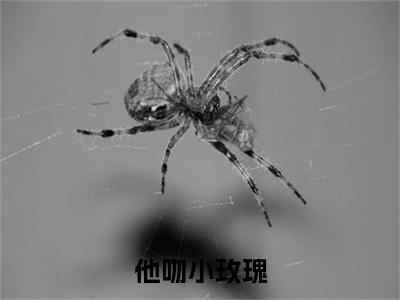 （宁秋棠江晟免费+后续）他吻小玫瑰（宁秋棠江晟）最新章节阅读-热点小说榜单推荐他吻小玫瑰