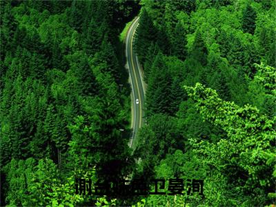 谢台姝色卫晏洵免费小说-谢台姝色卫晏洵完结版在线阅读