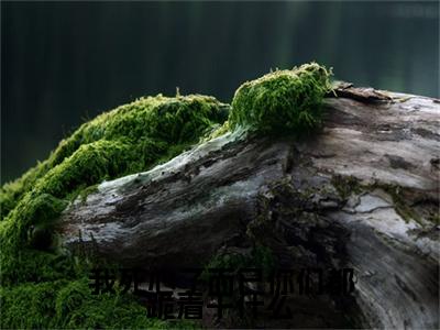 我死心了而已你们都跪着干什么（夏夜）笔趣阁免费小说_我死心了而已你们都跪着干什么笔趣阁最新章节夏夜免费在线阅读大结局
