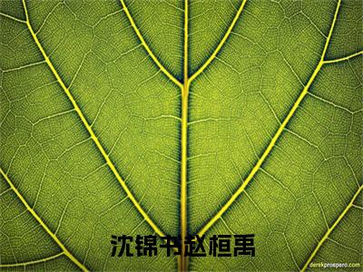 沈锦书赵桓禹小说无弹窗（赵桓禹沈锦书）全文免费阅读无弹窗大结局_赵桓禹沈锦书最新章节列表_笔趣阁