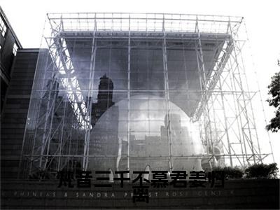 梵音三千不慕君姜归离（傅北澈姜归离）小说全文免费_梵音三千不慕君姜归离小说（傅北澈姜归离）最新章节目录笔趣阁