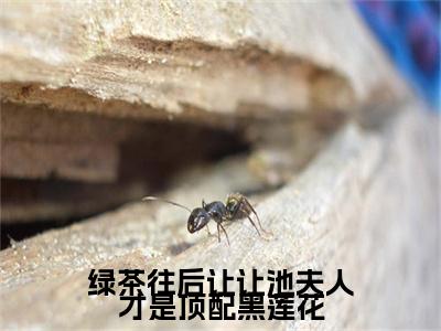 绿茶往后让让池夫人才是顶配黑莲花全网热搜（池野虞晚）是什么小说，绿茶往后让让池夫人才是顶配黑莲花免费阅读无弹窗
