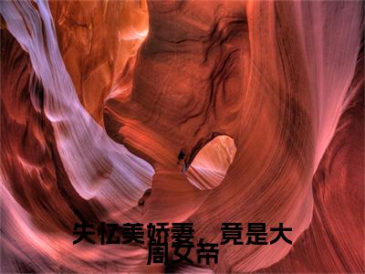 小说（失忆美娇妻，竟是大周女帝）在线赏析_秦稷txt小说在线阅读笔趣阁
