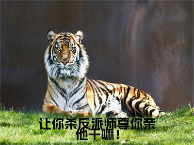 让你杀反派师尊你亲他干嘛！小说（谢流渊商清时）全文免费阅读无弹窗大结局_让你杀反派师尊你亲他干嘛！完整版最新阅读_笔趣阁（谢流渊商清时）