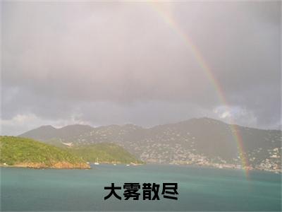 大雾散尽（阮清槐薄斯珩）全文免费阅读无弹窗大结局_（大雾散尽免费阅读全文大结局）最新章节列表